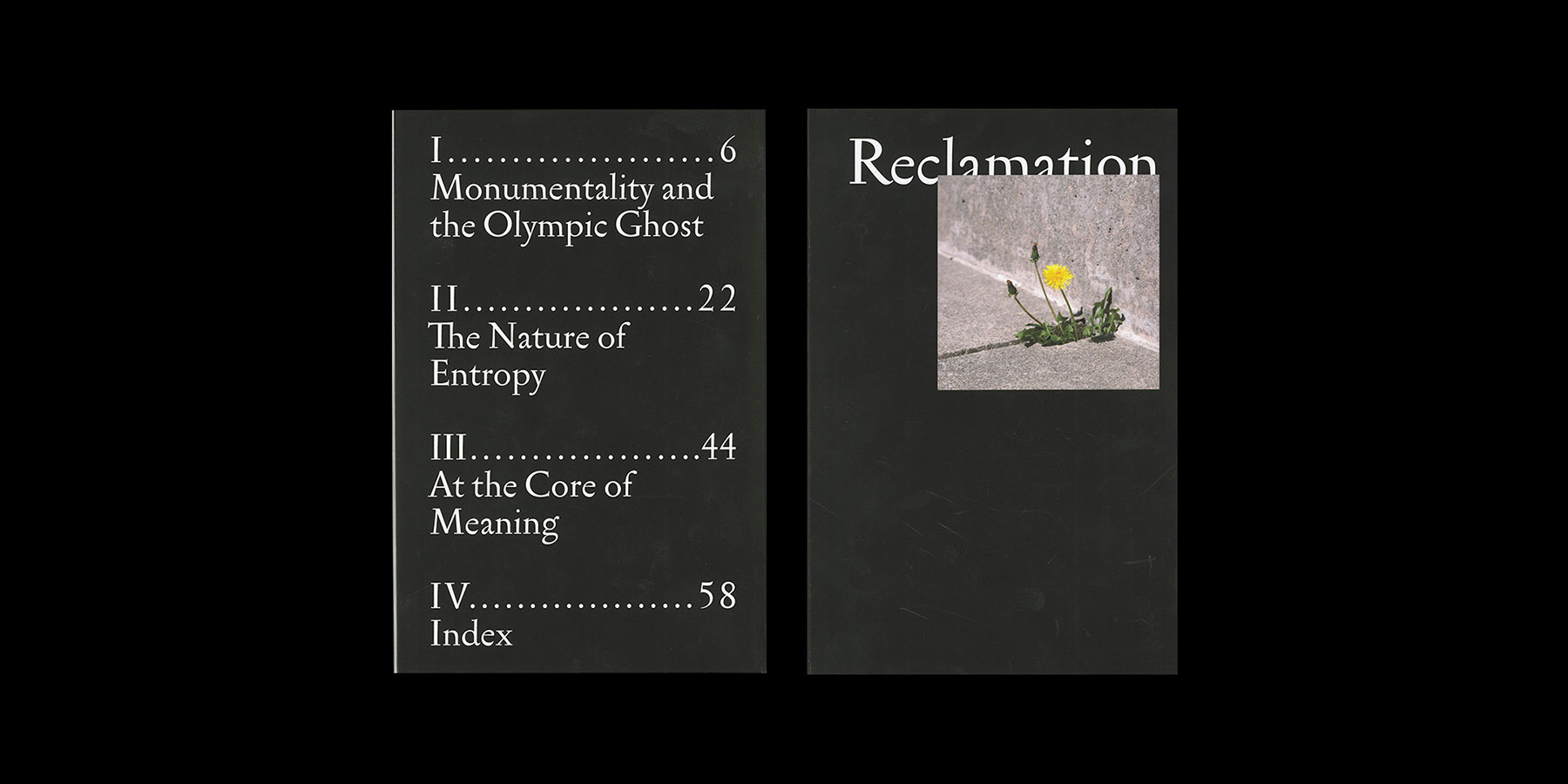 Reclamation — Brooks Heintzelman, 2017