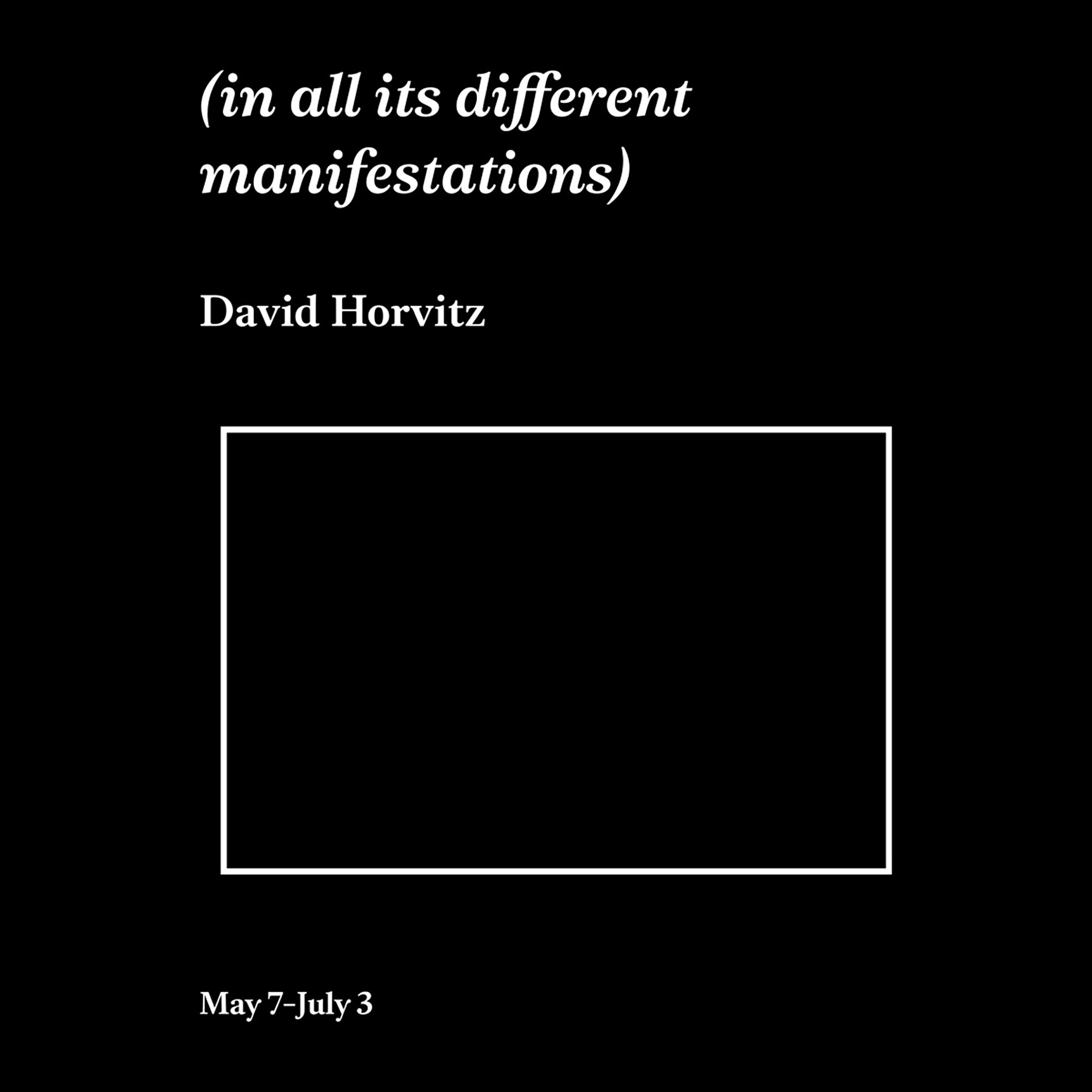 David Horvitz: (in all its different manifestations)